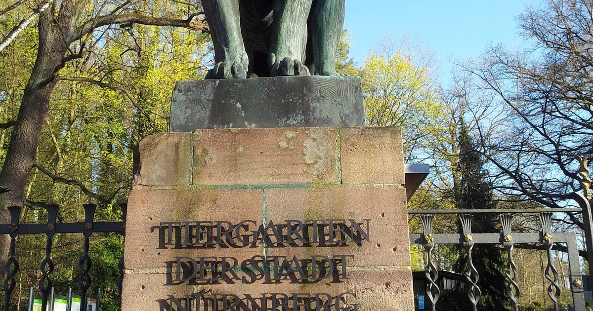 Nürnberg | Mehr Besucher im Tiergarten erlaubt | Radio 8